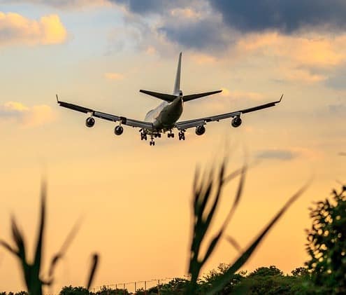 Fly der letter mod solnedgangen